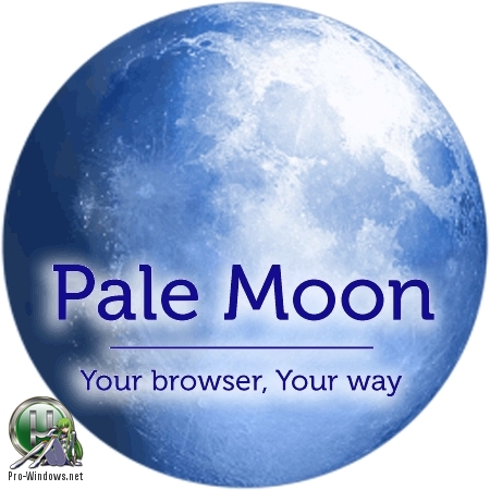 Интернет браузер - Pale Moon 28.5.1 + Portable