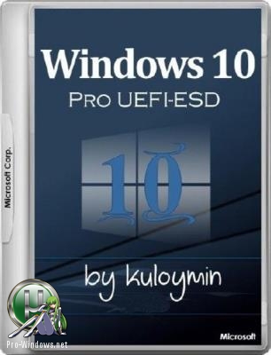 Windows 10 Pro 1709 x86/x64 by kuloymin v12.6 (esd)