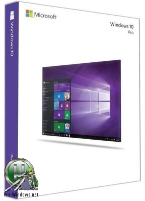 Windows 10 Professional 1809 + Office 2019 by Wzaus 21.02.2019 x64