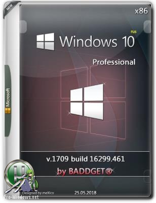 Windows 10.0 rs3 PRO / v.1709.16299.461 / x86 / by BADDGET®