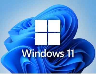 Windows 11 16in1 +/- x86 Office 2019 by SmokieBlahBlah 2022.11.13