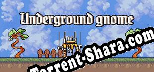 Underground gnome (2023/RUS/ENG/Лицензия)