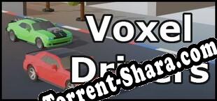 Voxel Drivers (2019/MULTI/RePack от AURA)