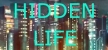 Русификатор на игру Hidden Life