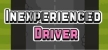 Русификатор на игру Inexperienced Driver