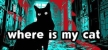 where is my cat русификатор озвучки + текст