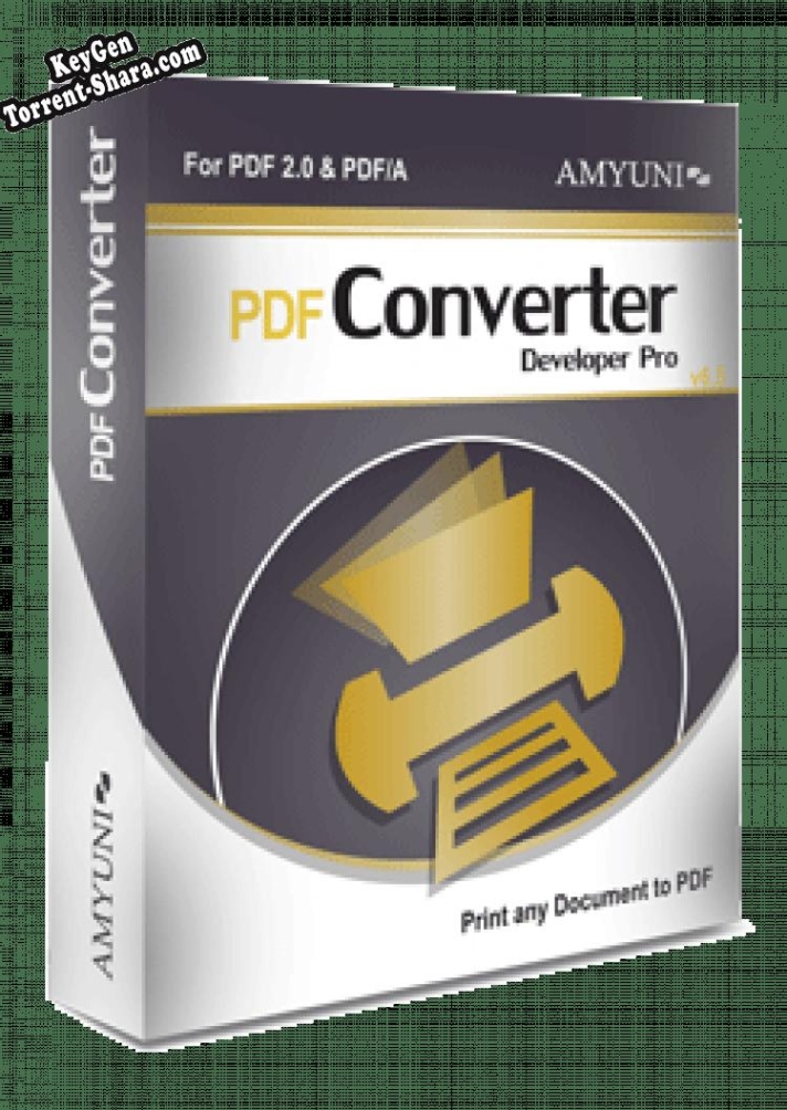 Регистрационный ключ к программе  Amyuni PDF Converter
