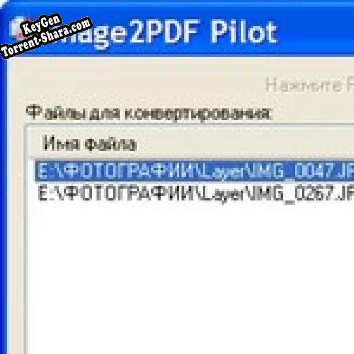 Генератор ключей (keygen)  Image2PDF Pilot