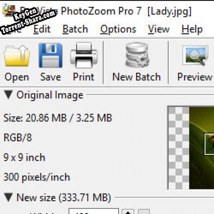 Регистрационный ключ к программе  PhotoZoom Pro