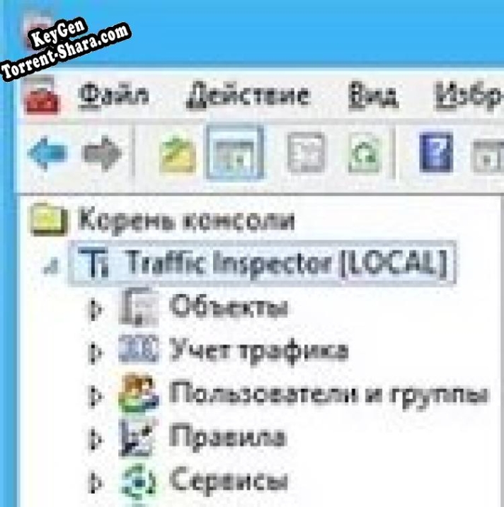 Регистрационный ключ к программе  Traffic Inspector