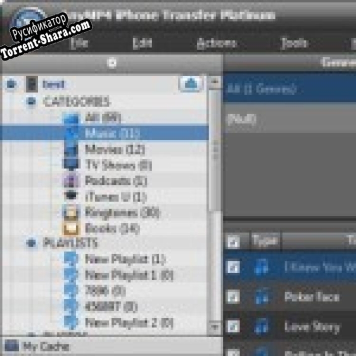 Русификатор для AnyMP4 iPhone Transfer Platinum