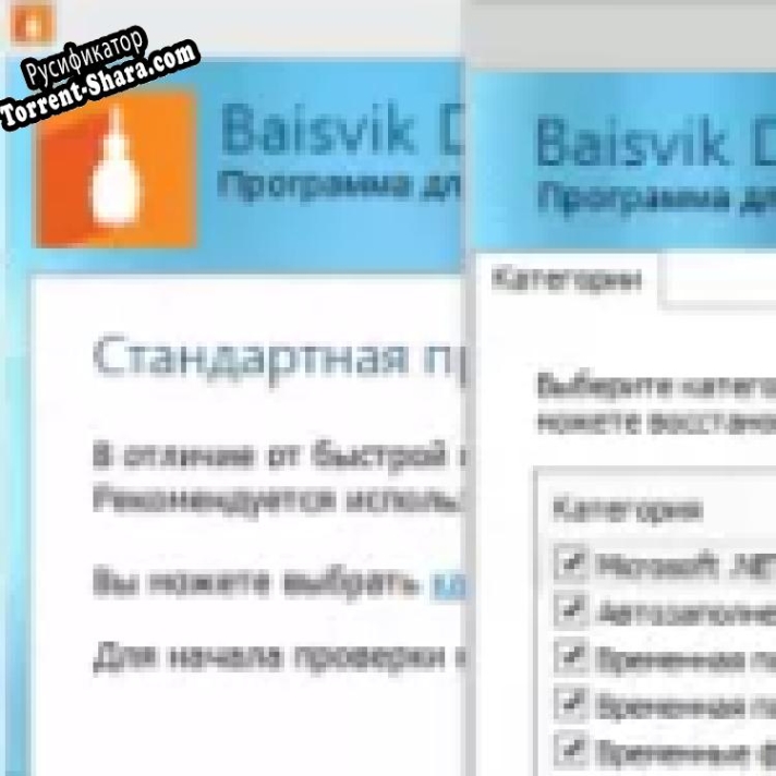 Русификатор для Baisvik Disk Cleaner Free