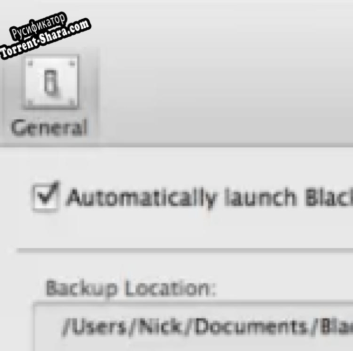 Русификатор для BlackBerry Desktop Manager
