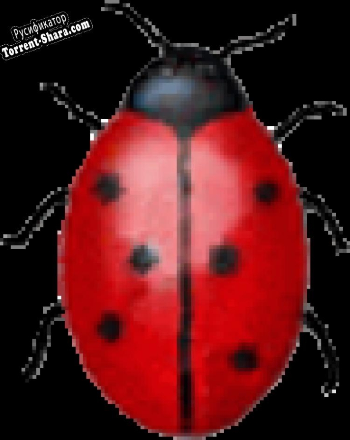 Русификатор для Coccinella