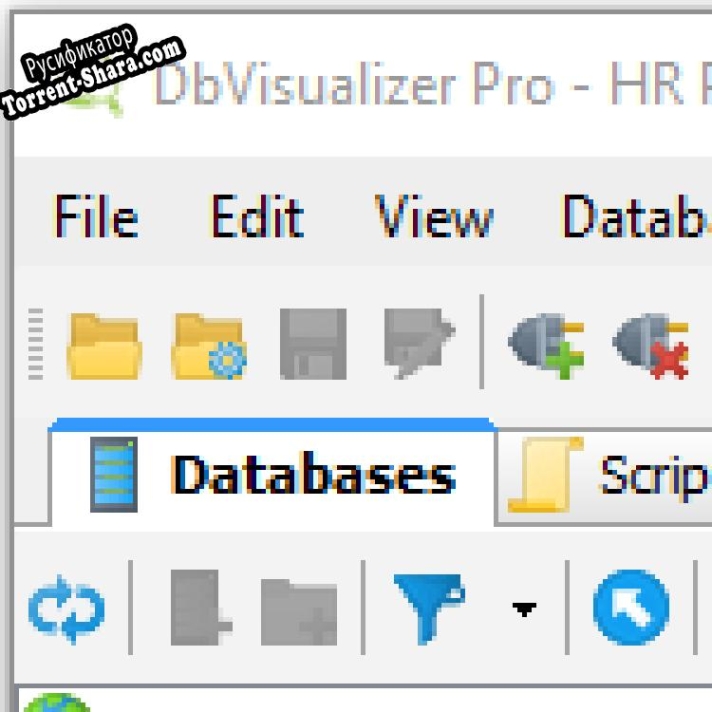 Русификатор для DbVisualizer Windows