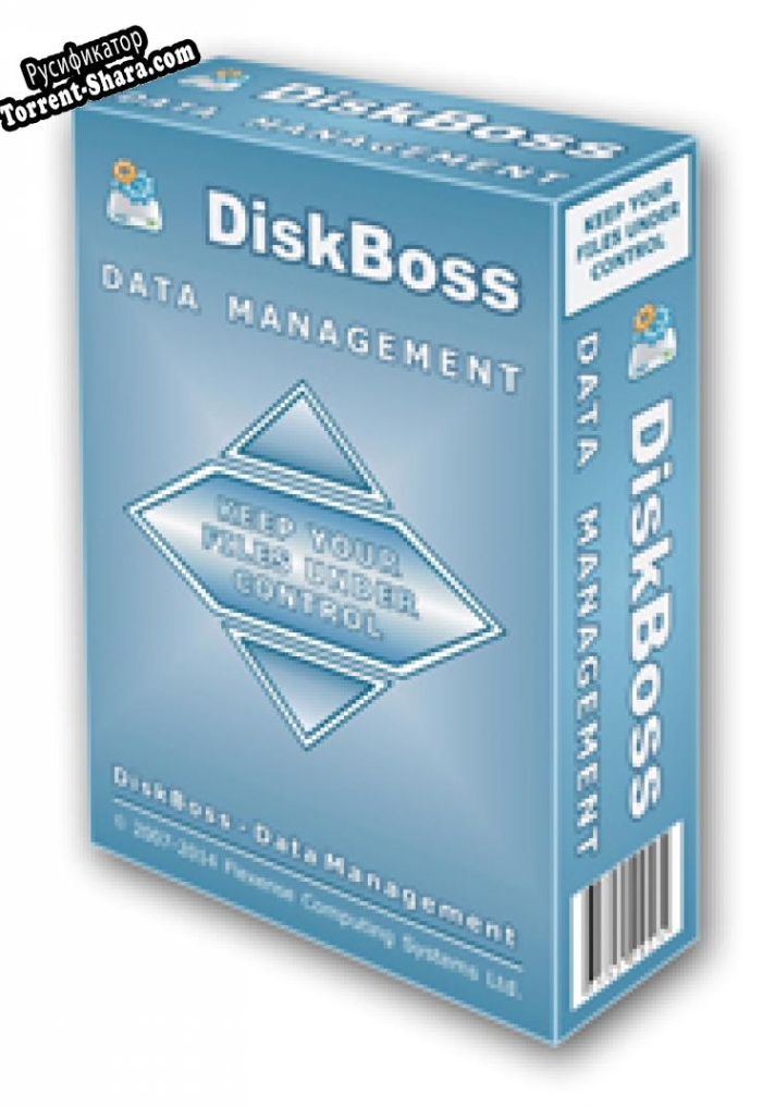 Русификатор для DiskBoss