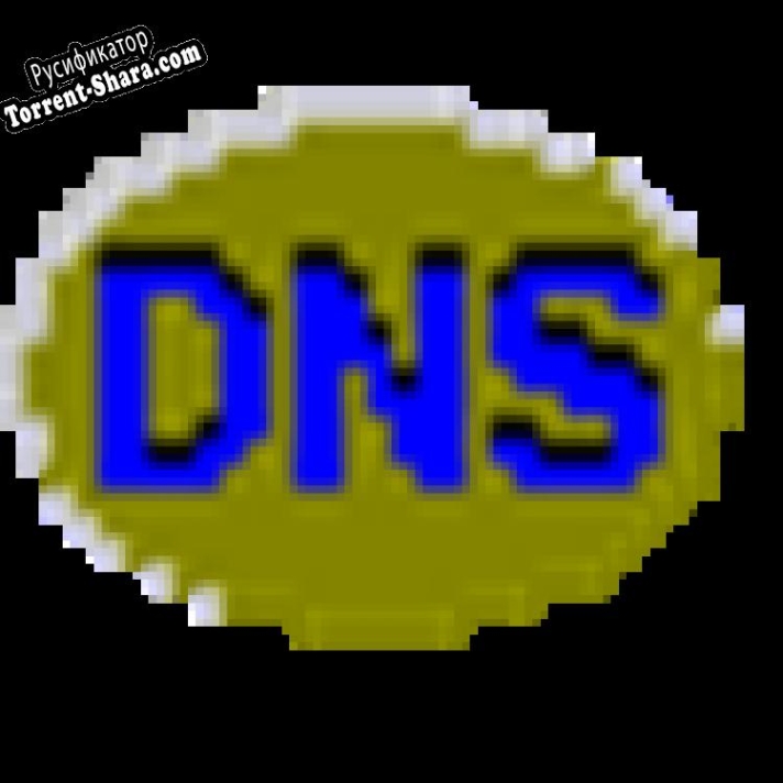 Русификатор для DNSDataView