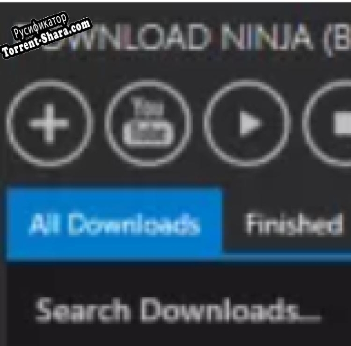 Русификатор для Download Ninja