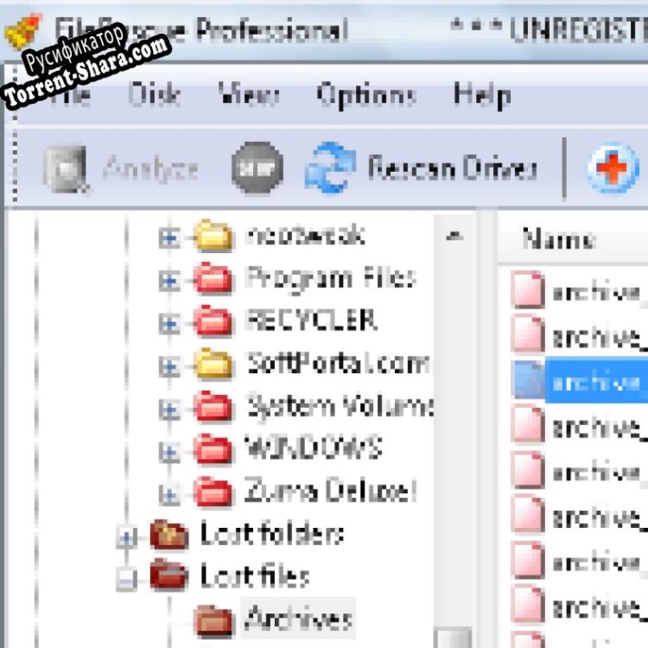 Русификатор для FileRescue Professional