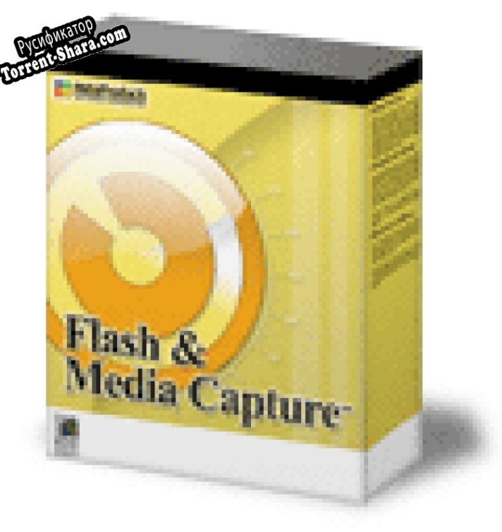 Русификатор для Flash and Media Capture
