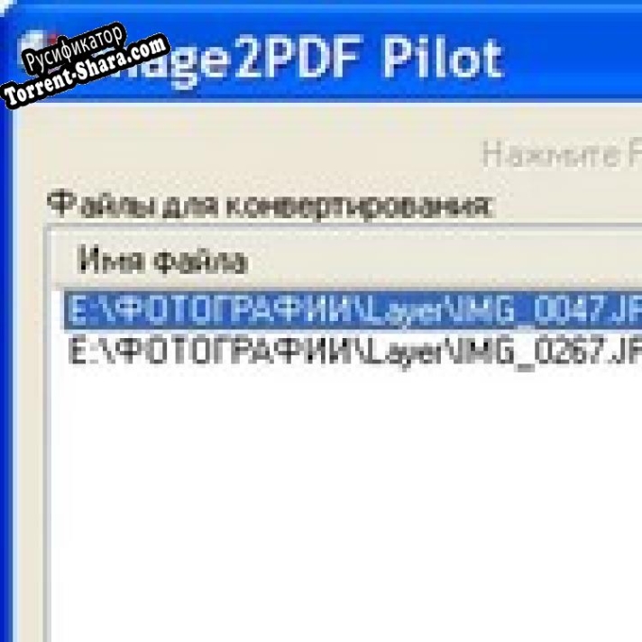 Русификатор для Image2PDF Pilot