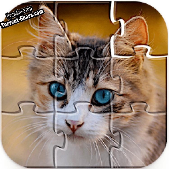 Русификатор для Jigsaw Puzzles Collections