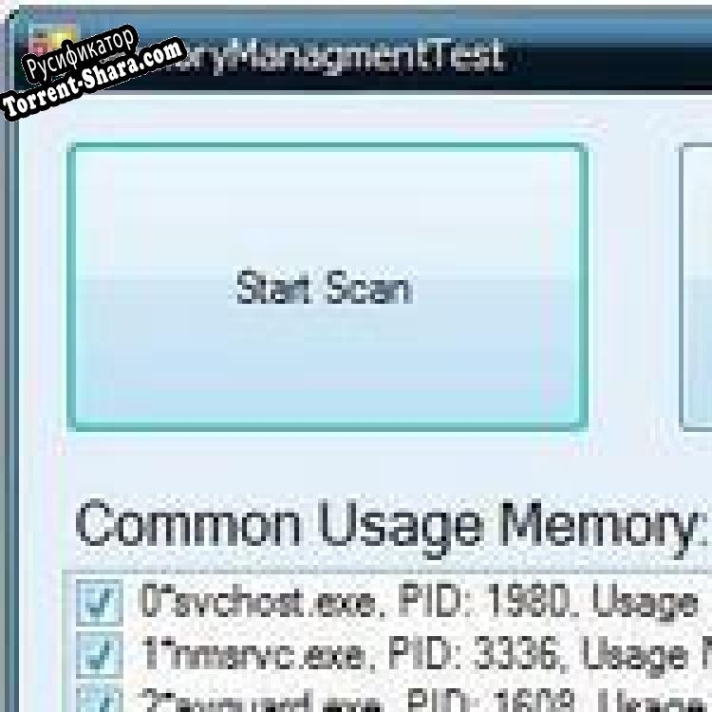 Русификатор для Memory Management ActiveX