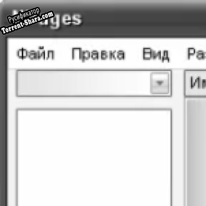 Русификатор для Note pages