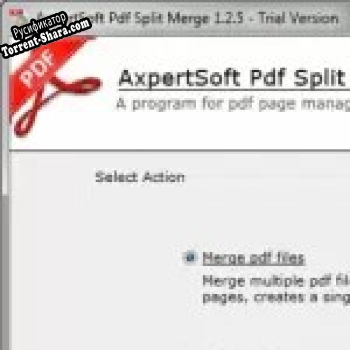 Русификатор для PDF Split Merge