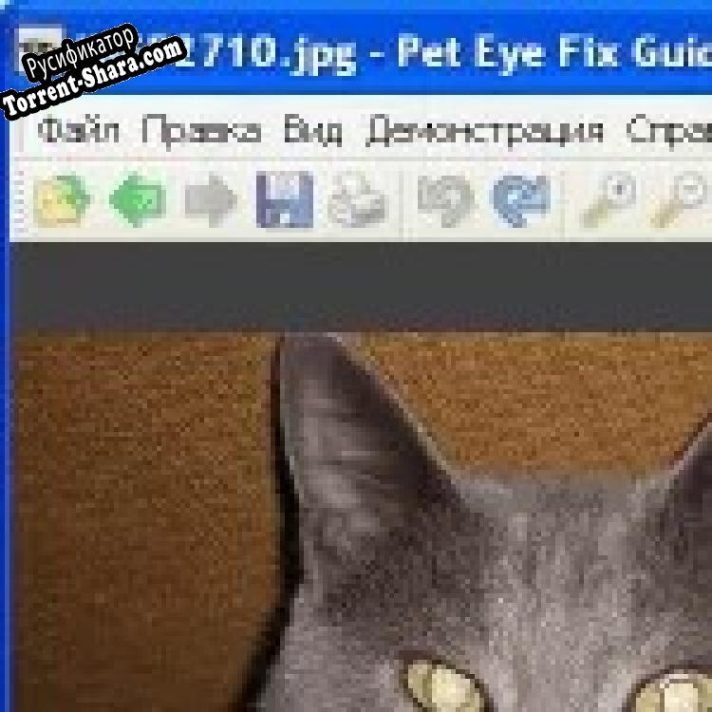 Русификатор для Pet Eye Fix Guide