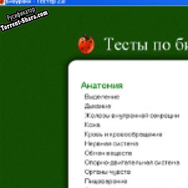 Русификатор для Tester