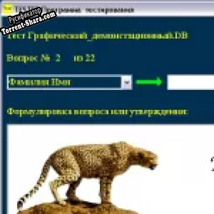 Русификатор для Timk.ru Универсальный тест