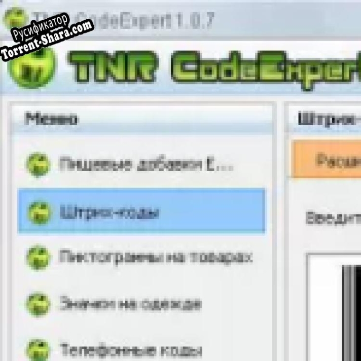 Русификатор для TNR CodeExpert