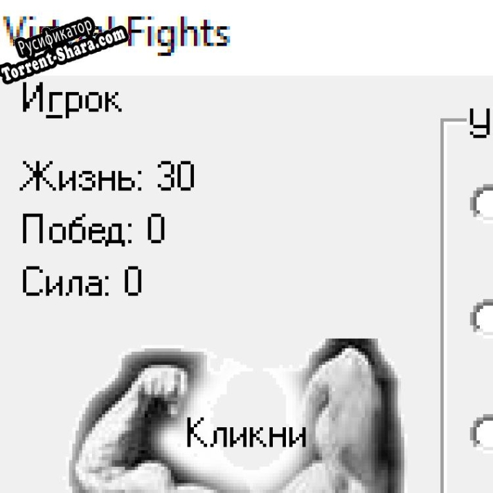 Русификатор для Virtual Fights