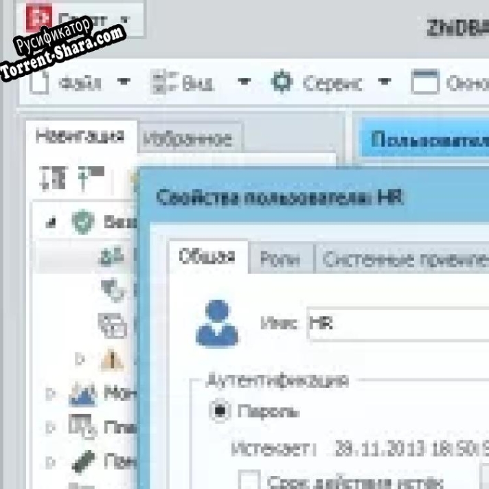 Русификатор для ZhiDBA for Oracle