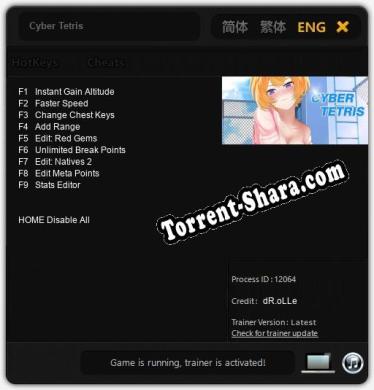 Cyber Tetris: Читы, Трейнер +9 [dR.oLLe]