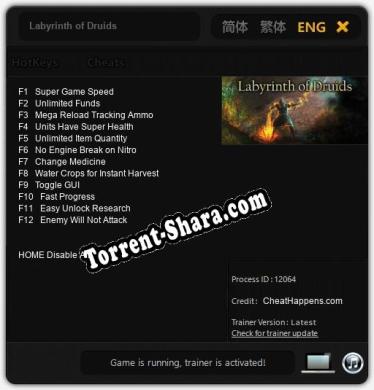 Трейнер для Labyrinth of Druids [v1.0.8]