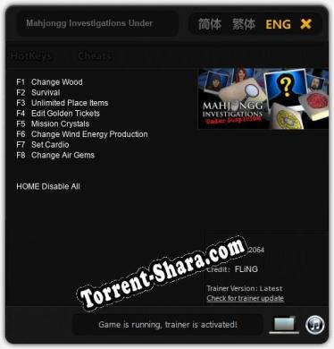 Mahjongg Investigations Under Suspicion: ТРЕЙНЕР И ЧИТЫ (V1.0.91)