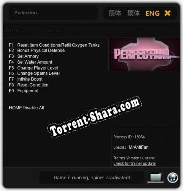 Perfection.: Читы, Трейнер +9 [MrAntiFan]